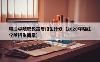 晓庄学院职教高考招生计划（2020年晓庄学院招生简章）