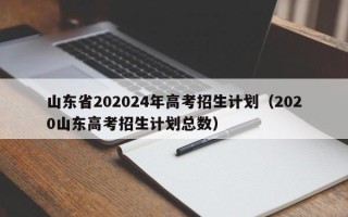 山东省202024年高考招生计划（2020山东高考招生计划总数）