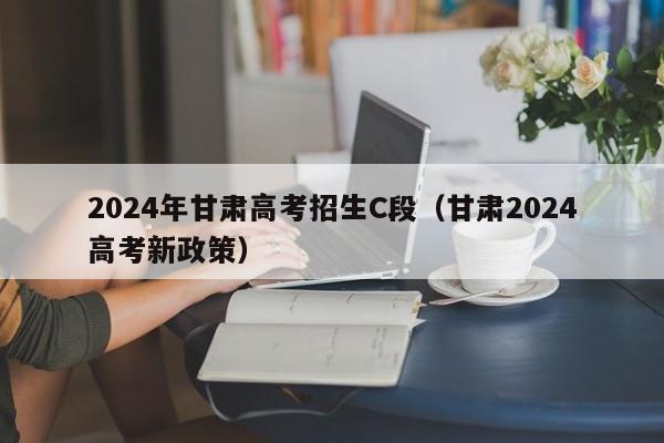 2024年甘肃高考招生C段（甘肃2024高考新政策）-第1张图片-新高考
